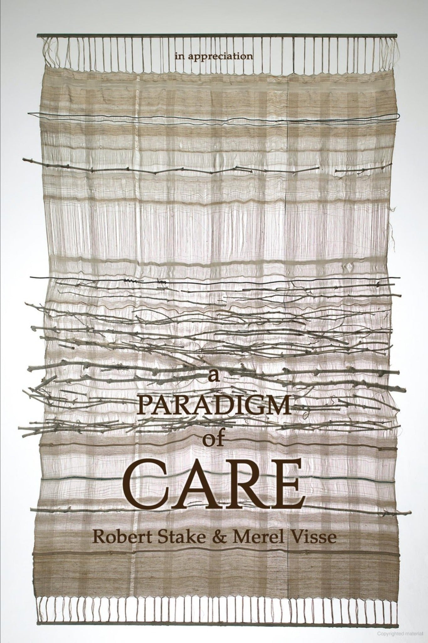 Cover image for A Paradigm of Care ISBN 9781648023385